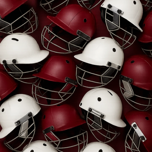CRICKET HELMETS