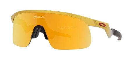 OAKLEY RESISTOR SUNGLASSES